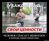 ЧЕЛОВЕК СПАСАЕТ ЖИВОТНОЕ. а животное спасает всякий хлам...