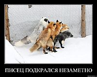 ПИСЕЦ ПОДКРАЛСЯ НЕЗАМЕТНО 