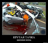 КРУТАЯ ТАЧКА красивая жизнь