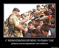 С ЖИВОТНЫМИ НУЖНО ТОЛЬКО ТАК доброту они воспринимают как слабость