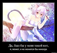 Да, был бы у меня такой кот, я, может, и не женился бы никогда.