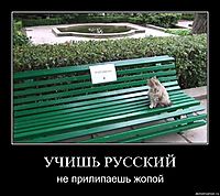 УЧИШЬ РУССКИЙ не прилипаешь жопой