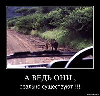 А ВЕДЬ ОНИ , реально существуют !!!