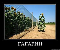 ГАГАРИН 