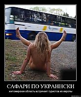 САФАРИ ПО УКРАИНСКИ житомирская область встречает туристов из европы