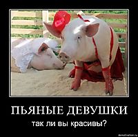 ПЬЯНЫЕ ДЕВУШКИ так ли вы красивы?
