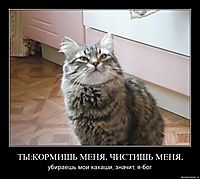 ТЫ:КОРМИШЬ МЕНЯ, ЧИСТИШЬ МЕНЯ, убираешь мои какаши, значит, я-бог.