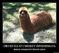 DRUID НА 85 СМОЖЕТ ПРИНИМАТЬ форму неведомой ебаной хуйни