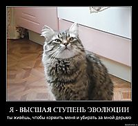 Я - ВЫСШАЯ СТУПЕНЬ ЭВОЛЮЦИИ ты живёшь, чтобы кормить меня и убирать за мной дерьмо
