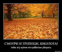 СМОТРИ И ТРЕПЕЩИ, ШКОЛОТА! тебе эту хуйню по-субботам убирать