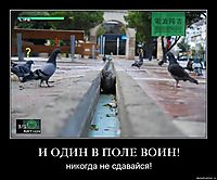 И ОДИН В ПОЛЕ ВОИН! никогда не сдавайся!