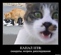 КАНАЛ НТВ: скандалы, интриги, расследования