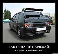 КАК ОСЛА НЕ НАРЯЖАЙ, все равно конем не станет