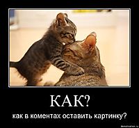 КАК? как в коментах оставить картинку?