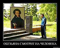 ОБЕЗЬЯНА СМОТРИТ НА ЧЕЛОВЕКА 