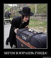 БЕГОМ В ИЗРАИЛЬ ГНИДА! 