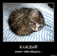 КАЖДЫЙ может тебя обидеть...