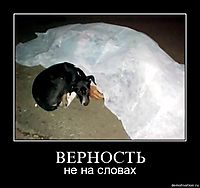 ВЕРНОСТЬ не на словах