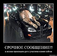 СРОЧНОЕ СООБЩЕНИЕ!!! в москве произошло дтп с участием ксении собчак