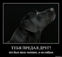 ТЕБЯ ПРЕДАЛ ДРУГ? это был явно человек, а не собака
