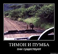 ТИМОН И ПУМБА они существуют