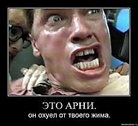 ЭТО АРНИ. он охуел от твоего жима.