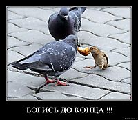 БОРИСЬ ДО КОНЦА !!! 