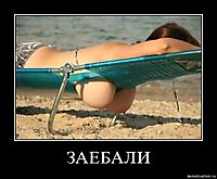 ЗАЕБАЛИ 