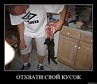 ОТХВАТИ СВОЙ КУСОК 