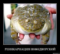 РЕИНКАРНАЦИЯ НОВОДВОРСКОЙ 