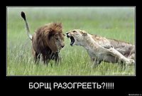 БОРЩ РАЗОГРЕЕТЬ?!!!! 