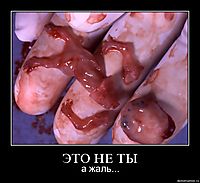 ЭТО НЕ ТЫ а жаль...
