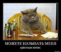 МОЖЕТЕ НАЗЫВАТЬ МЕНЯ крёстным котом.