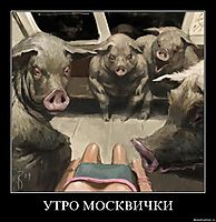 УТРО МОСКВИЧКИ 