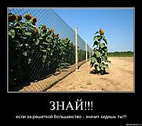 ЗНАЙ!!! если за решеткой большинство - значит сидишь ты!!!