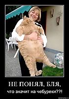 НЕ ПОНЯЛ, БЛЯ, что значит на чебуреки??!