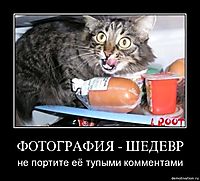 ФОТОГРАФИЯ - ШЕДЕВР не портите её тупыми комментами