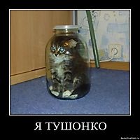 Я ТУШОНКО 
