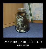 МАРИНОВАННЫЙ КОТЭ один штукэ