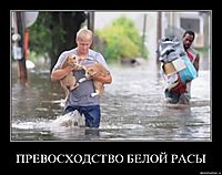 ПРЕВОСХОДСТВО БЕЛОЙ РАСЫ 