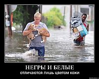 НЕГРЫ И БЕЛЫЕ отличаются лишь цветом кожи