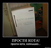 ПРОСТИ КОТА! прости кота, солнышко...
