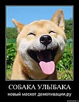 СОБАКА УЛЫБАКА новый маскот демотивации.ру