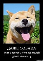 ДАЖЕ СОБАКА ржет с тупизны пользователей  демотивации.ру