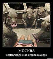 МОСКВА самовлюблённая стерва в метро