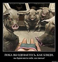 ПОКА ВЫ ОДЕВАЕТЕСЬ, КАК БЛЯДИ, мы будем вести себя, как свиньи!