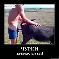 ЧУРКИ зачинаются так!