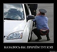 КАЗАЛОСЬ БЫ, ПРИЧЁМ ТУТ КЭП 
