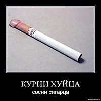 КУPHИ ХУЙЦA сосни сигaрцa