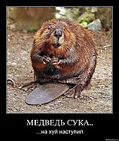 МЕДВЕДЬ СУКА.. ...на хуй наступил